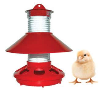 BriteTap Chick Feeder Grows With Your Flock Image